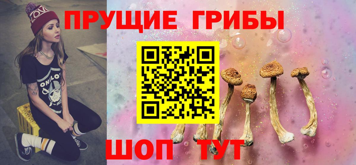 Псилоцибиновые грибы прущие грибы  купить наркотик  Вход с VPN  Грязи  Галлюциногенные грибы Cubensis 